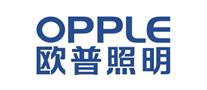2022年中国十大灯具品牌排行榜(图2)