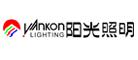 2022年中国十大灯具品牌排行榜(图8)