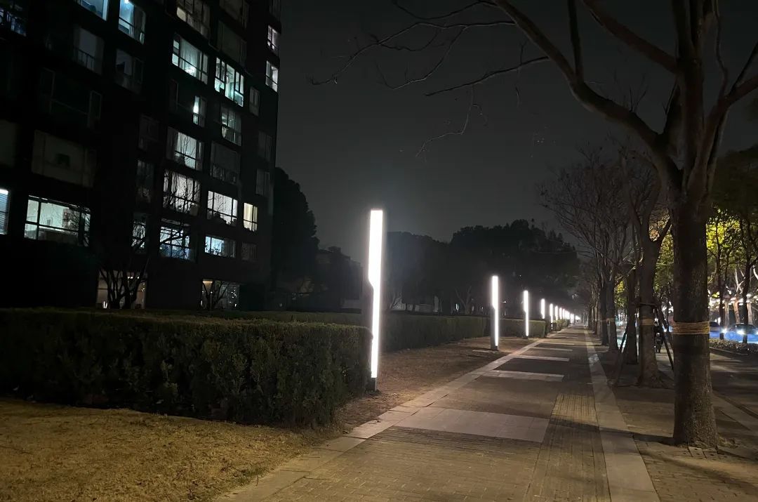 亮了靓了！改善居民出行体验她建议……(图5)