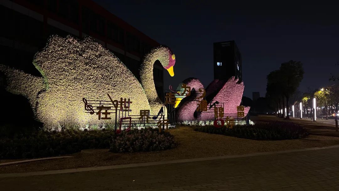 亮了靓了！改善居民出行体验她建议……(图6)
