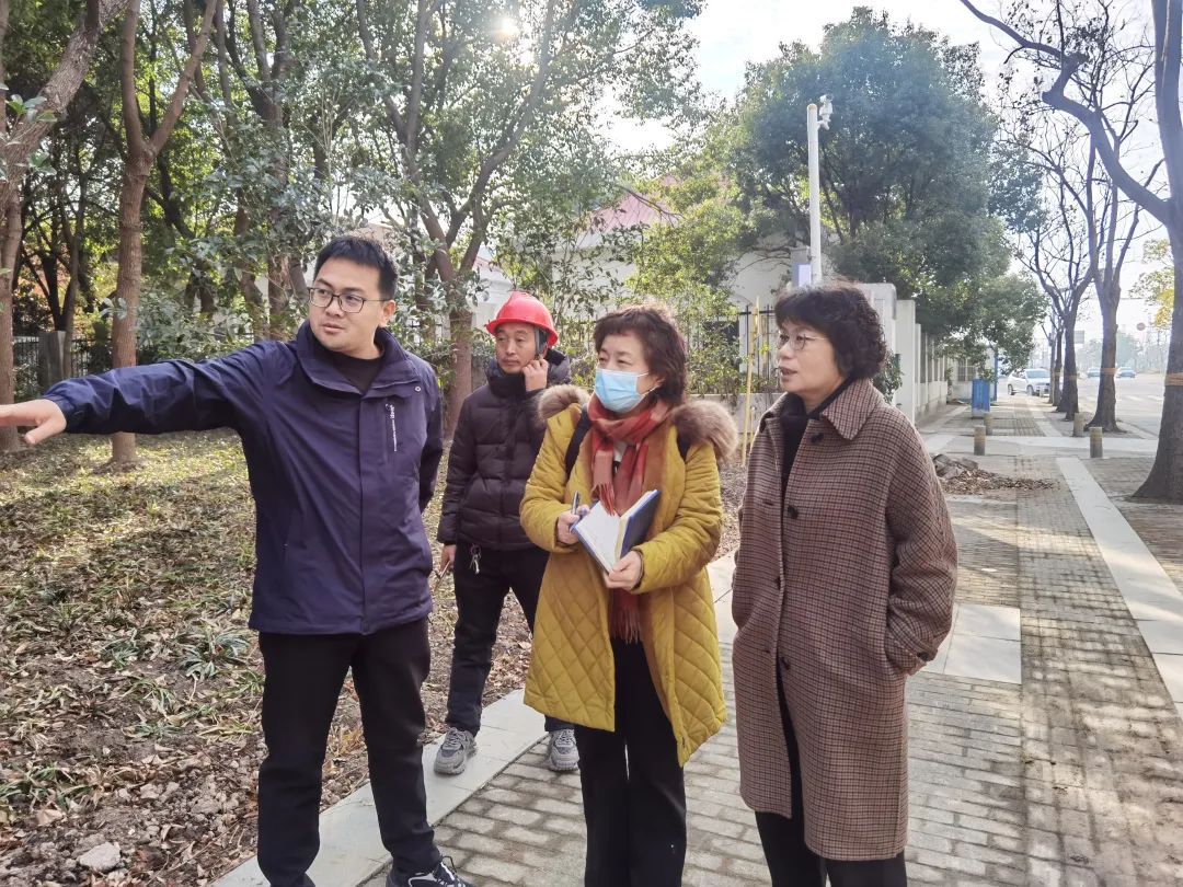 亮了靓了！改善居民出行体验她建议……(图2)
