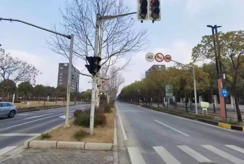 亮了靓了！改善居民出行体验她建议……(图3)