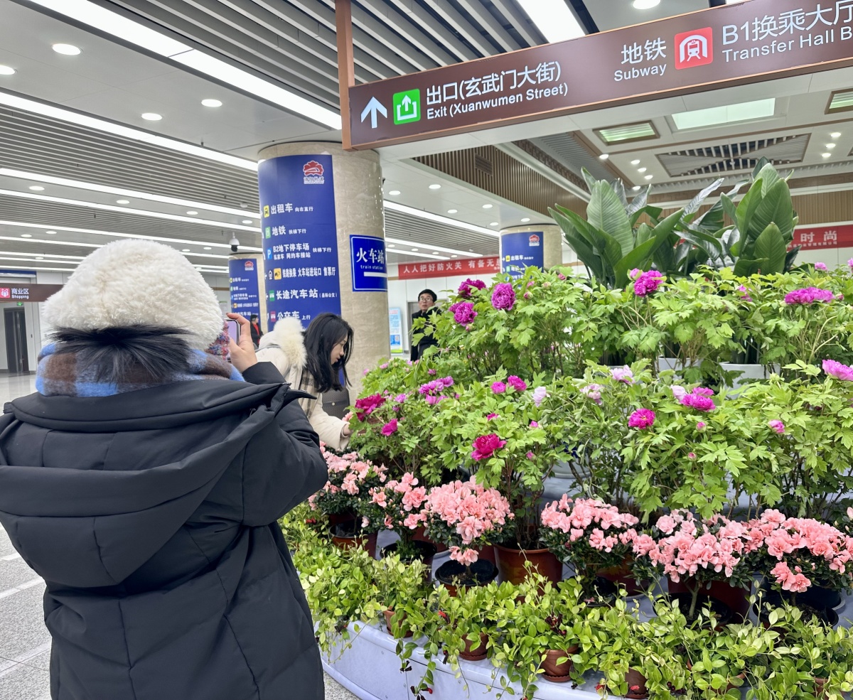 人气爆棚！春节假期洛阳三大公园接待游客7138万人次(图7)