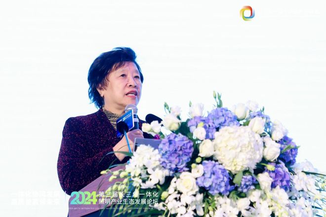 一体化协同发展 高质量赢领未来！2024第三届长三角一体化照明产业生态发展论坛圆满落幕！(图10)