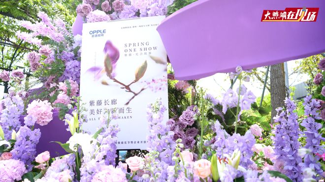 欧普照明马志伟：我们希望跳出行业的“卷”进一步将行业天花板打开…(图2)