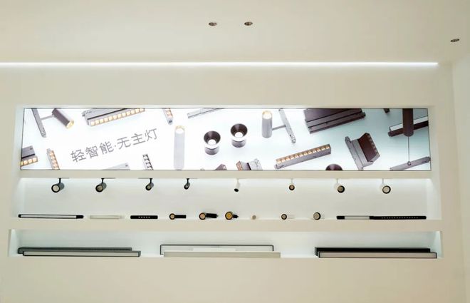 重磅！涉及鸿雁、公牛、阳光照明、点点照明、英索纳…(图6)