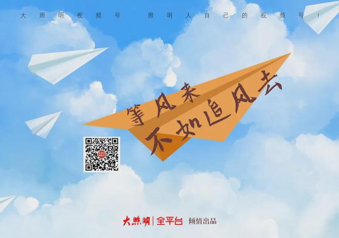 木林森4833亿元！阳光照明13亿元！佛山照明11还有民爆、联域…(图11)