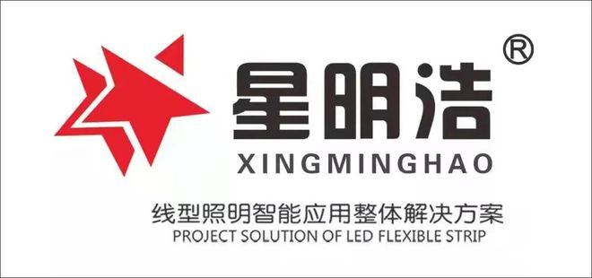 全国经销商热议！AI智能照明“钱”景已明？(图11)