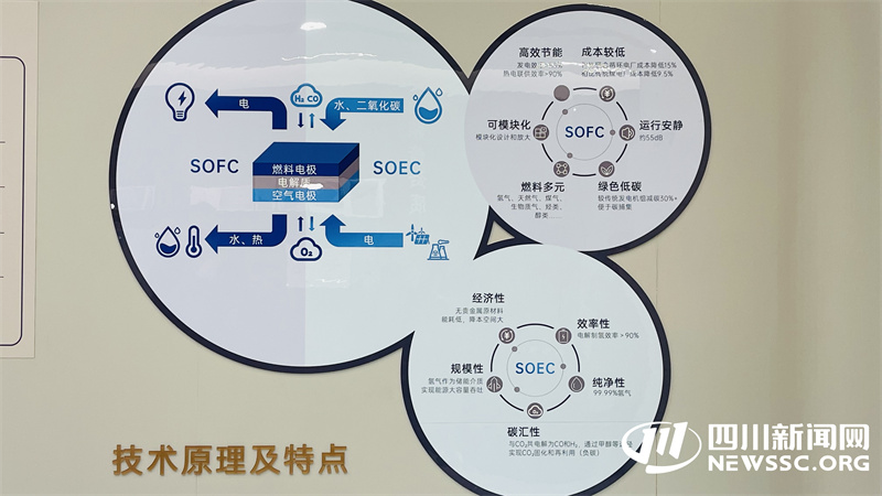 南充“工业立市”步伐铿锵全力冲刺经济“开门红”｜组团培育副中心 喜看南达新气象(图3)