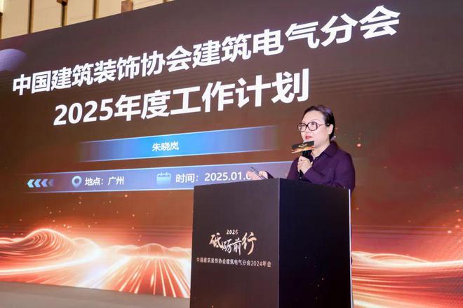 砥砺前行 中国建筑装饰协会建筑电气分会2024年会盛大举行(图4)